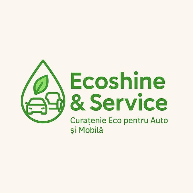 Curatare chimica Ecoshine&service фото 4