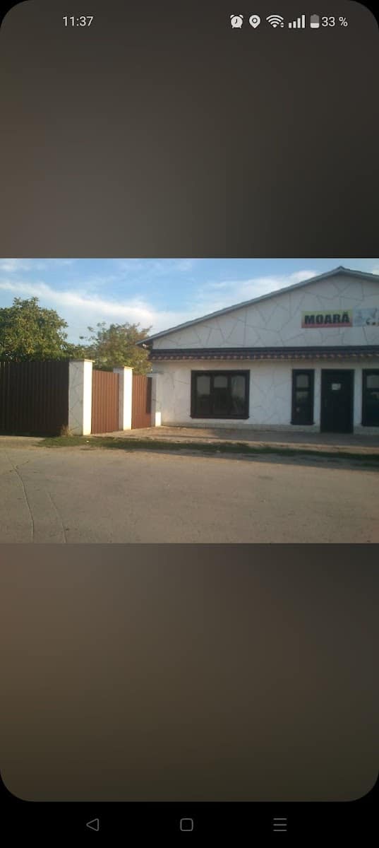 Moara фото 2