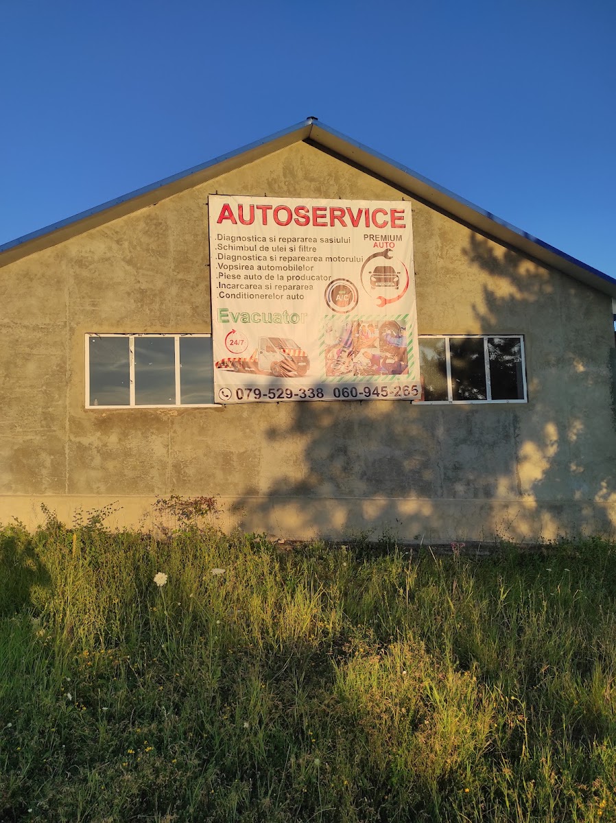 Auto Premium — главное фото